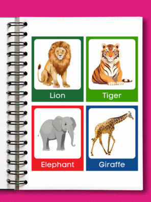 32 Animal Cards for Kids